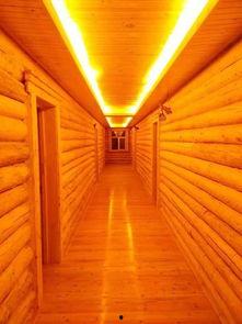 醉宾馆草在线视频,揭秘激情背后的故事