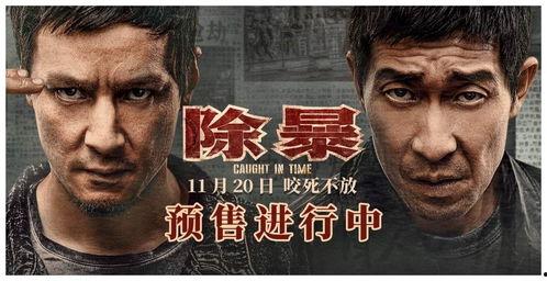 电影悍匪在线视频播放,在线惊悚之旅,揭秘犯罪团伙的生死较量