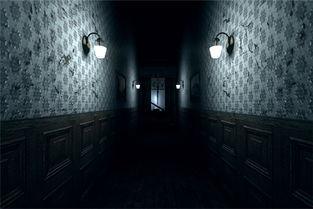 坎卜斯在线视频,探索科技与生活的无限可能