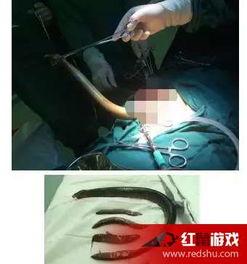 亚洲黄鳝在线视频